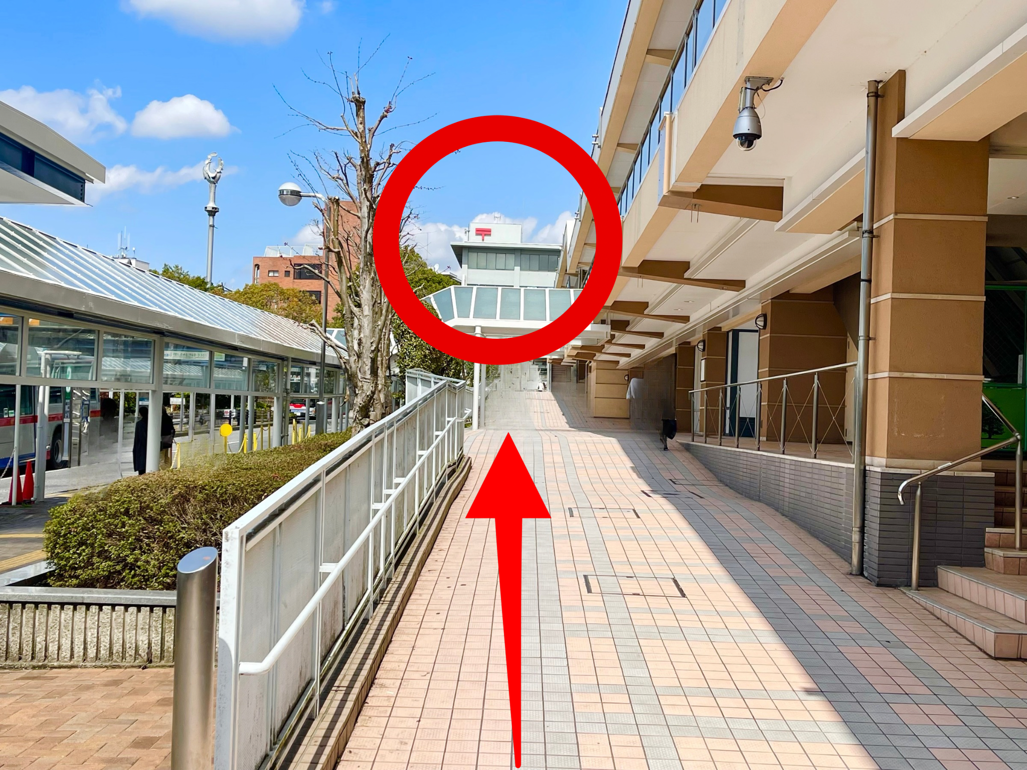 青葉台駅からの道順 ステップ4：青葉台郵便局を確認