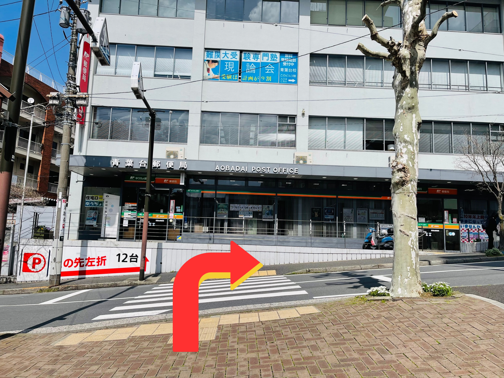 青葉台駅からの道順 ステップ5：横断歩道を渡って右へ